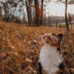 Meet your Posher, Anne